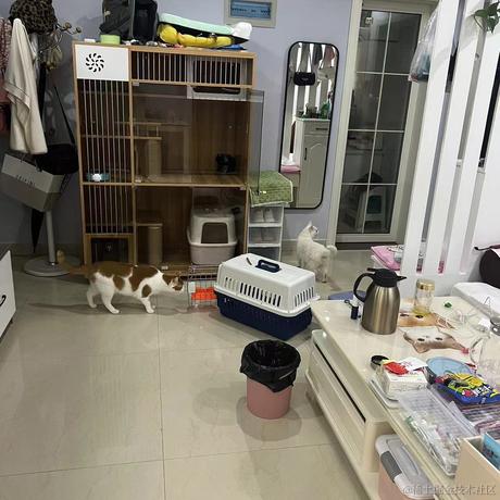 墨羽MoYu于2023-06-02 09:59发布的图片