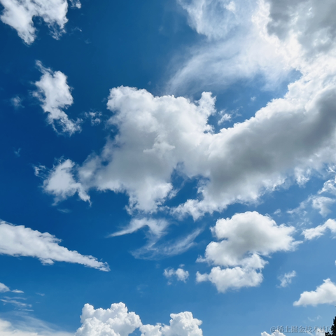 咚咚咚哒哒哒于2022-09-13 15:18发布的图片