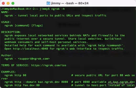 ngrok-help.png