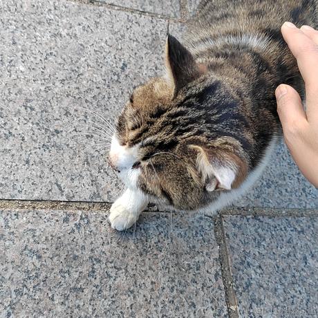 薄岁于2022-12-18 08:05发布的图片