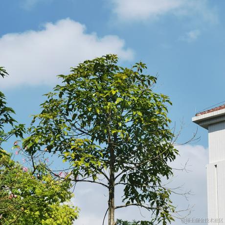 暮春于2022-11-20 15:49发布的图片