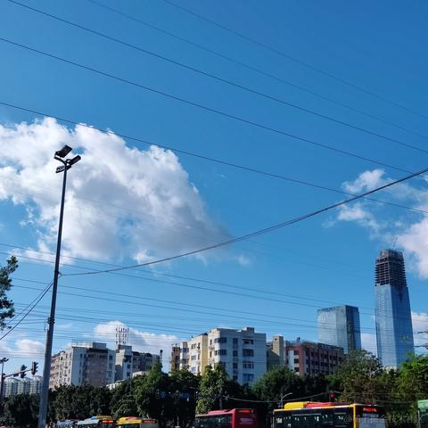 叨叨呀于2022-06-26 09:00发布的图片