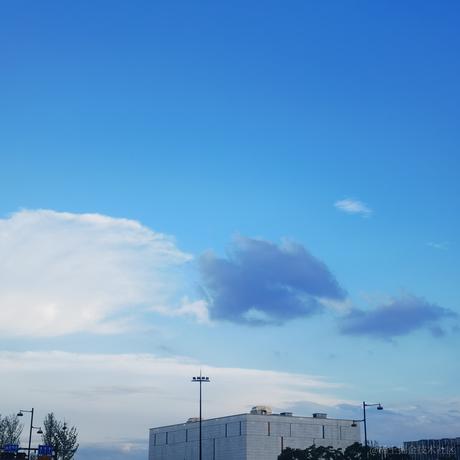 瞎眼盲僧救死扶伤于2022-11-10 14:45发布的图片