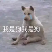 56604148d39ad63d.jfif
