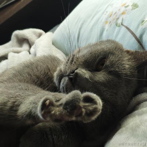 发射二向箔于2021-10-27 17:47发布的图片