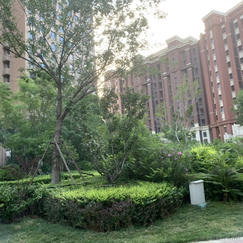 卢卡多多于2021-07-27 21:27发布的图片