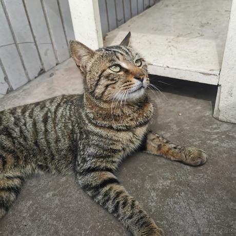 为什么了于2023-05-13 15:45发布的图片