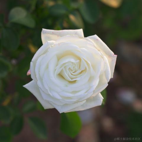 向晚的妻子于2022-11-09 18:35发布的图片