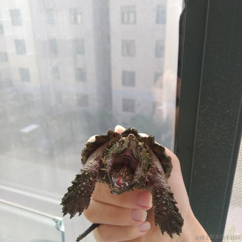 可爱小草莓于2022-11-15 22:49发布的图片