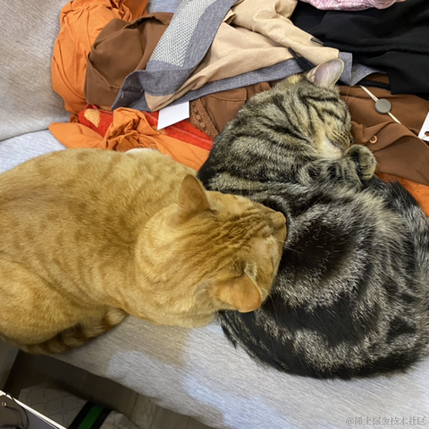 avavaava于2022-11-27 01:50发布的图片