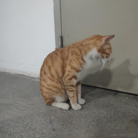 然然世界第一可爱于2022-11-17 12:39发布的图片