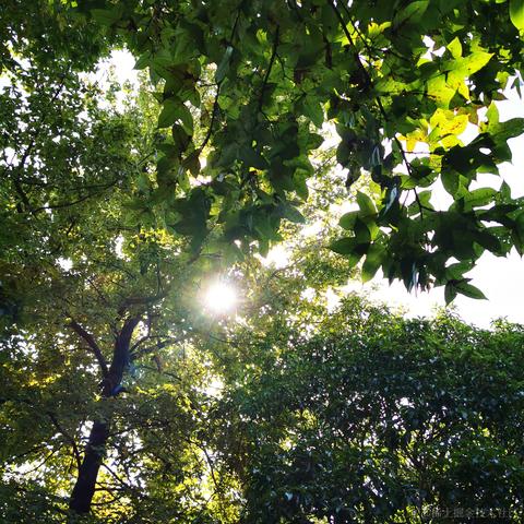 小白7码于2020-10-23 12:13发布的图片