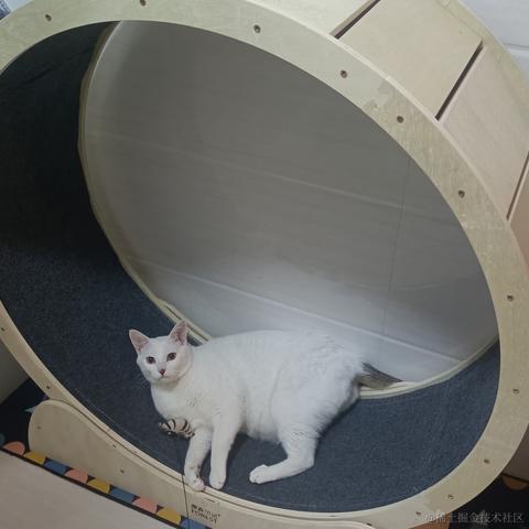 奔跑吧鸡翅于2023-01-14 09:52发布的图片