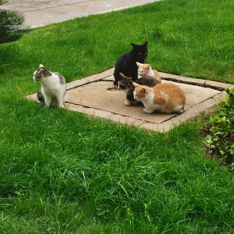 顶碗的王木木于2022-11-25 08:11发布的图片