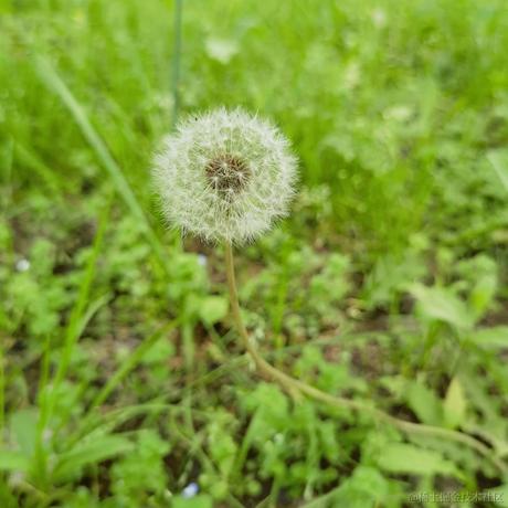 一头程序猿于2024-04-25 13:26发布的图片