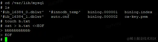 image-20231220105346872.png