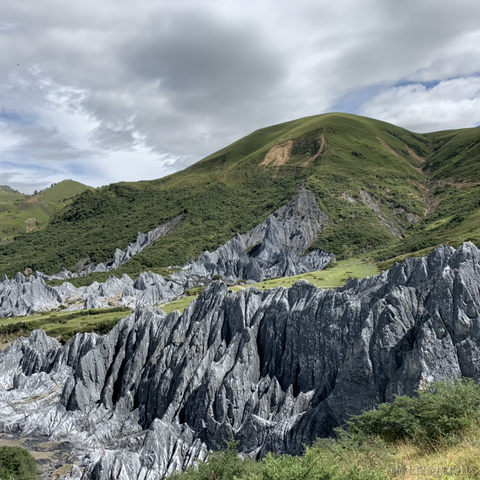 半散人于2020-08-24 09:40发布的图片