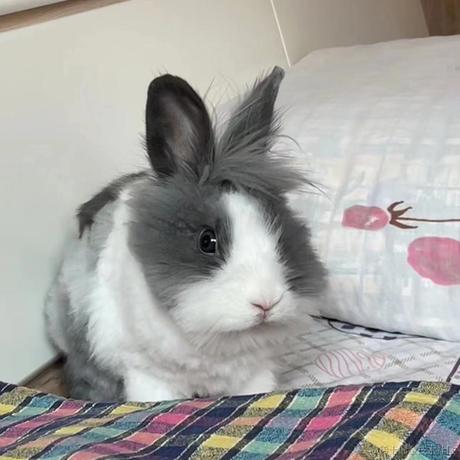 红黄蓝白黑于2022-12-06 01:58发布的图片