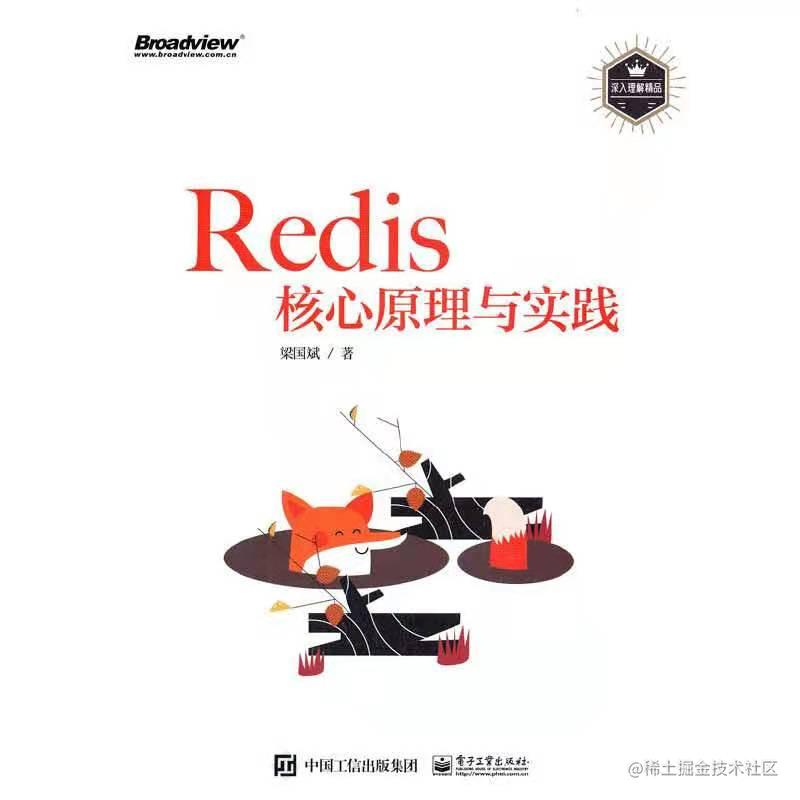 Redis核心原理与实践