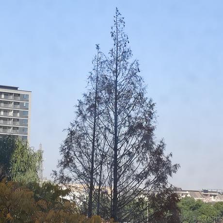 newsoul于2022-12-14 14:37发布的图片