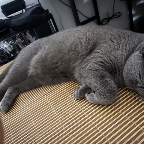 bellaQAQ于2023-06-20 08:57发布的图片