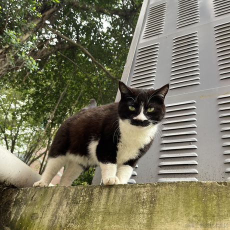 喵桑阿里嘎多版于2023-04-07 23:01发布的图片