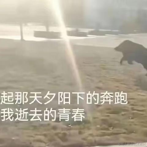 白日梦想家m于2022-11-11 23:35发布的图片