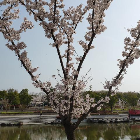 getify于2023-03-26 15:07发布的图片