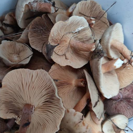 你先别急于2022-12-01 22:51发布的图片