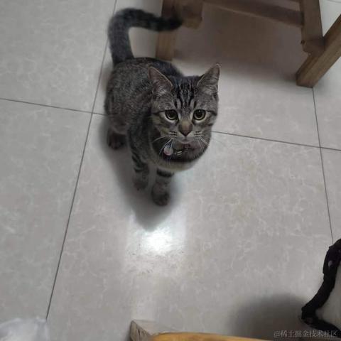 知_足于2024-01-08 14:36发布的图片