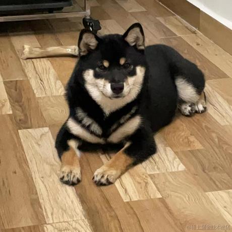 Fadeless于2022-04-14 13:49发布的图片