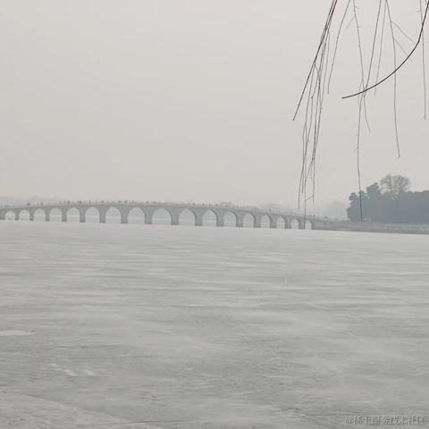 liudx于2023-03-13 16:28发布的图片