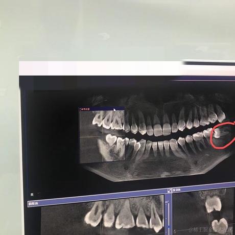 白毛浮绿水于2022-04-19 11:52发布的图片