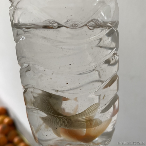 无敌小怪兽于2023-01-19 11:26发布的图片