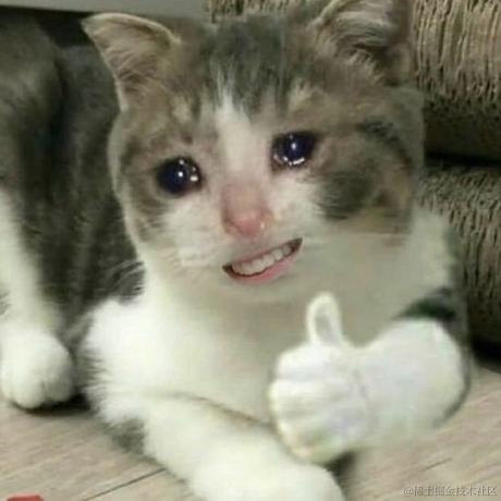 新世纪玉玉战士于2022-12-04 00:43发布的图片