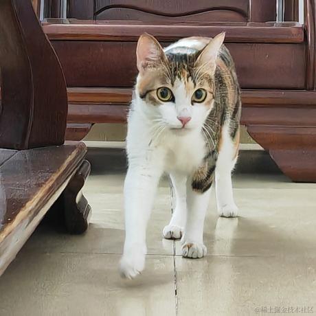 程序出问题与我何干于2023-07-13 21:12发布的图片