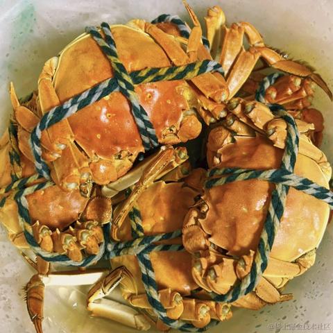 提刀挽落樱花_于2022-11-30 01:57发布的图片