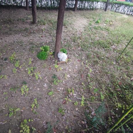 乃宝可爱捏于2022-11-11 07:53发布的图片