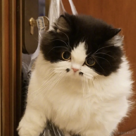 祝我好运于2021-06-02 19:42发布的图片