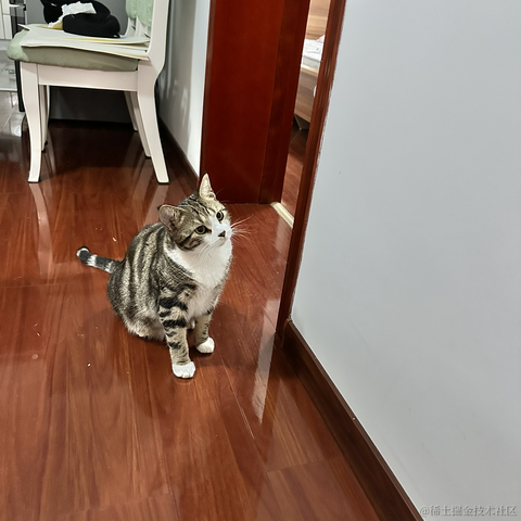 逃离月球表面于2023-05-13 21:49发布的图片