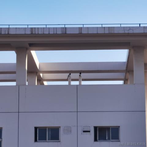 张鱼哥z于2022-10-01 23:51发布的图片