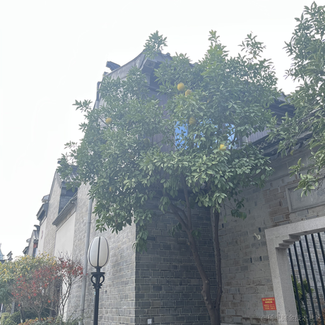 二十二日_于2022-12-03 10:10发布的图片