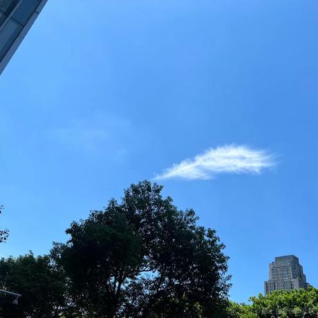 奥特曼打小怪兽OvO于2023-07-12 16:53发布的图片