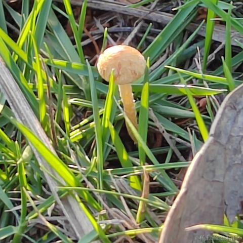 Uwiling于2022-11-28 19:58发布的图片