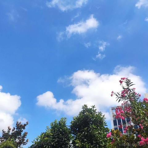 sunshinehh于2021-07-21 12:52发布的图片