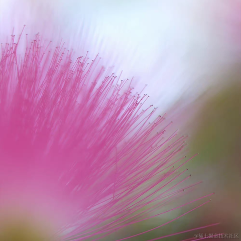 红毛丹于2022-06-09 07:33发布的图片