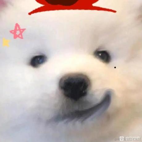 嘉然今天吃鸡腿于2022-11-24 20:43发布的图片