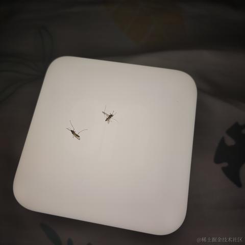 优秀稳妥的金枪小魔王于2022-06-06 00:13发布的图片