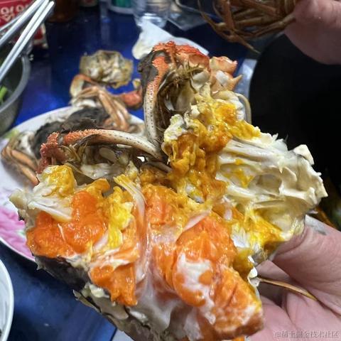 贝拉今天打什么于2022-11-26 11:49发布的图片