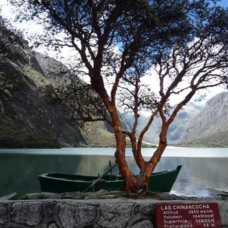 西红柿盖饭于2022-11-20 15:39发布的图片